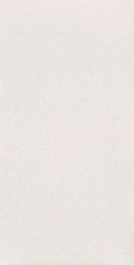 Perlina White 30.8x60.8 - фото 1