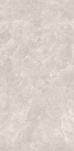 Platinum Leica Silk 160x320 - фото 1
