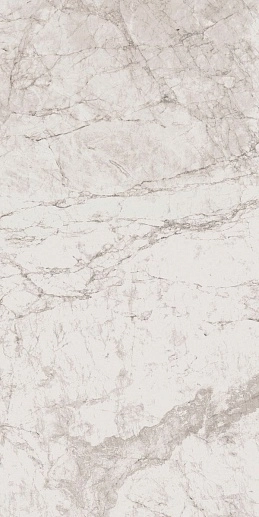 Century White 60x120 - фото 1