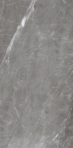 Patara Grigio Серый 60x120 - фото 1