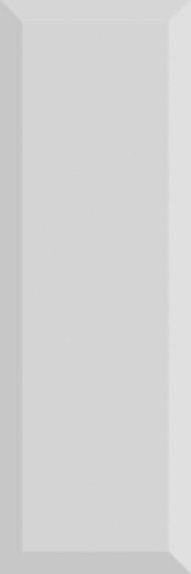 Tea 03 Gris 10x30 - фото 1