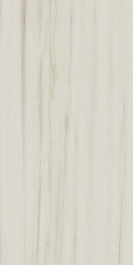 Empire Lasa 60x120 - фото 1