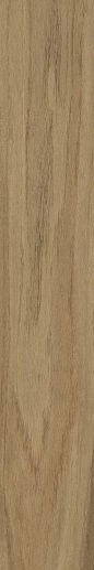 Walnut Бежевый Матовый 20x120 - фото 1
