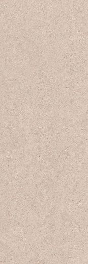 Salutami Granite 20x60 - фото 1
