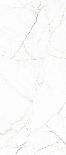 120x278 Statuario Super 120x278 - фото 1