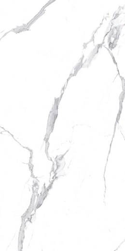 Calacatta Splendid Silver Белый Матовый 60x120 - фото 1