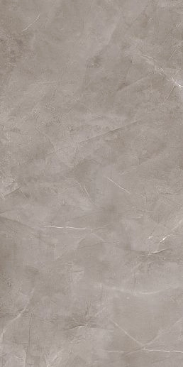 Harmonic Grey Pol 119.8x239.8 - фото 1