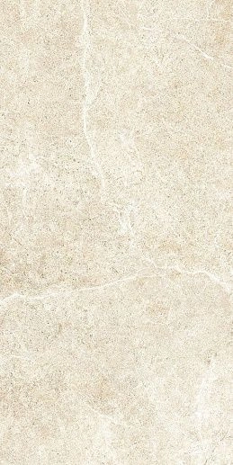 HolyStone White 61x122.2 - фото 1