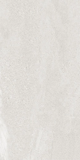Tardivo Bianco-M 60x120 - фото 1