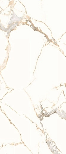 Titanium Statuario Gold Polished 120x278 - фото 1