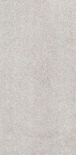 Terrazzone Grigio Honed 60x120 - фото 1