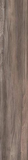 Dolphin Oak Rett. 20x120 - фото 1