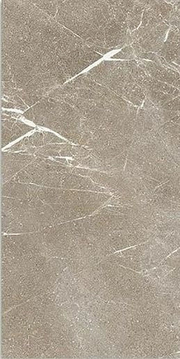 Star Greige Rett 60x120 - фото 1