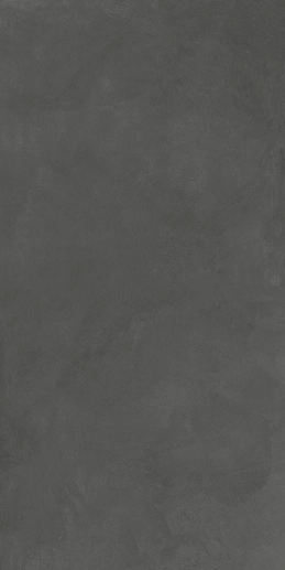 Evolution Gris Серый 60x120 - фото 1