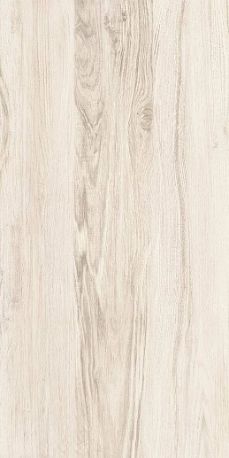Forest Бежевый 30x60 - фото 1