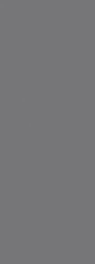 Foresta Silver 24.2x70 - фото 1