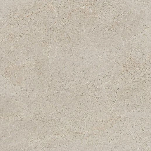 Milano Topo Brillo 59.6x59.6 - фото 1