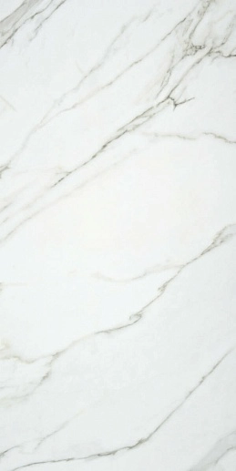 Aston White Pul Rect. 59x119 - фото 1