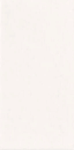 Plus Bissel Liso Brillo 10x20 - фото 1