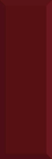 Monocolor Biselado Brillo Burdeos 10x30 - фото 1