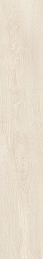 Zaba Light 25x150 - фото 1