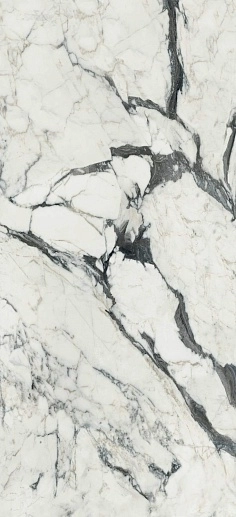 Les Bijoux de Rex Calacatta Altissimo B Matte 60x120 - фото 1