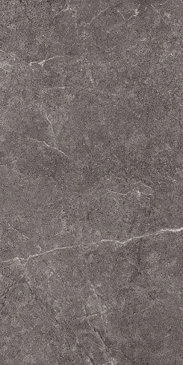 HolyStone Dark 61x122.2 - фото 1