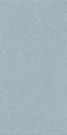 Floralia Bleuet 60x120 - фото 1