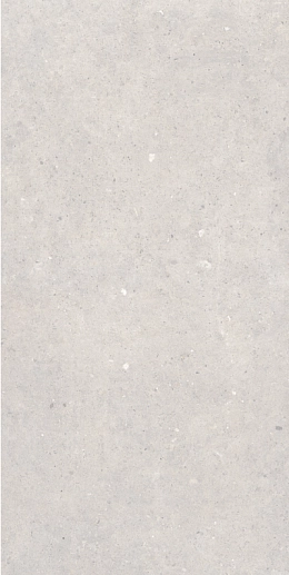 Cement Stone White MATE 60x120 - фото 1