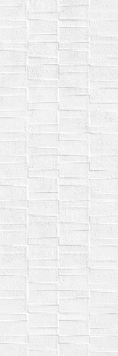 Argon RLV. Blanco 30x90 - фото 1
