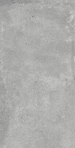Callisto Gray 60x120 - фото 1