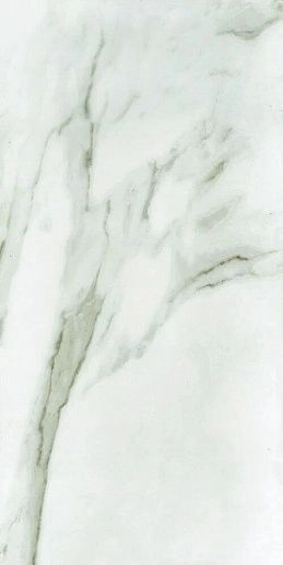 Stone Crown White Matt 60x120 - фото 1