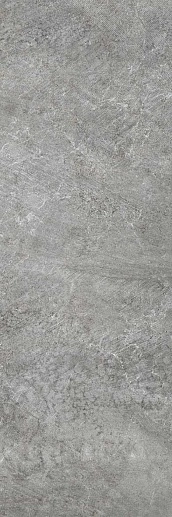 Rodano Silver Matt 33.3x100 - фото 1