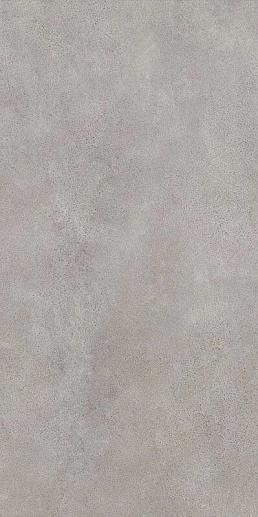Silkdust Grys Gres 59.8x119.8 - фото 1