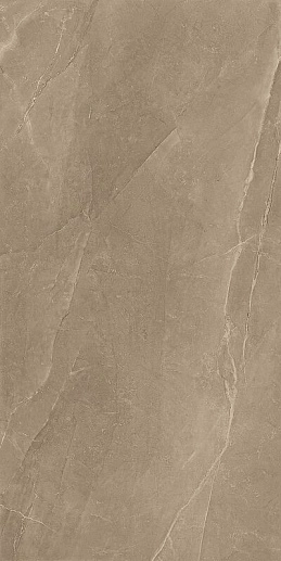 Pulpis Taupe Rett 60x120 - фото 1