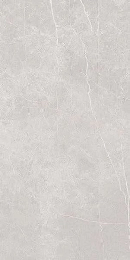 Stone Valeria Light Gray 60x120 - фото 1