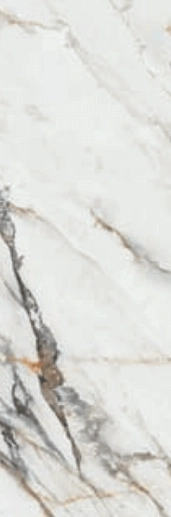 Firenze 1219 Calacatta Gold 120x40 - фото 1