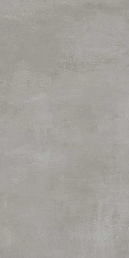 Rinascente Grey 60x120 - фото 1
