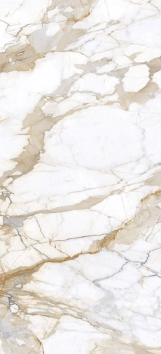 Calacatta Gold 120x270 Polished - фото 1