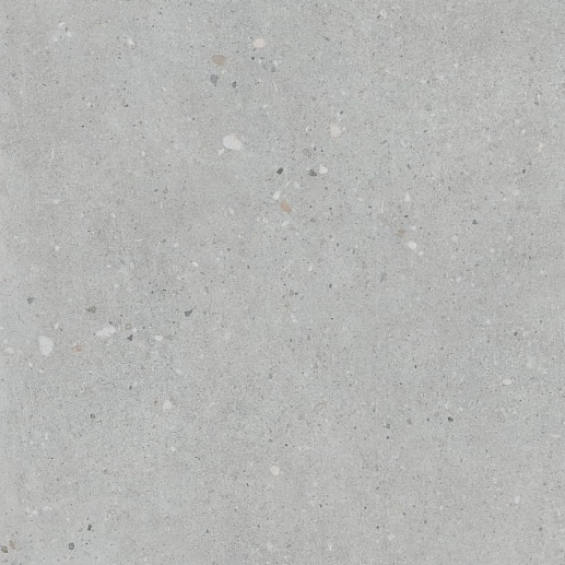 Flakecement Серый Матовый 60x60 - фото 1