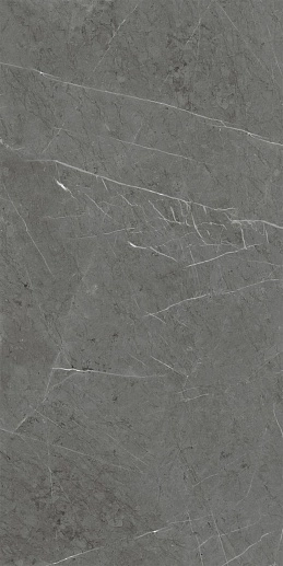 Skala Dark Grey K-2203/MR/600x1200x11 - фото 1
