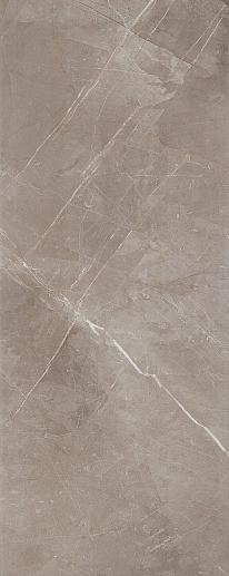 Parma Silver 29.8x74.8 - фото 1