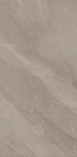 65 Parallelo Grigio 12G RM 60x120 - фото 1