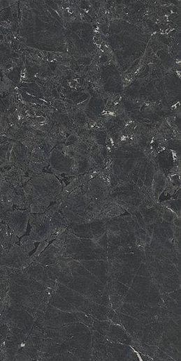 Neeko Black 60x120 - фото 1