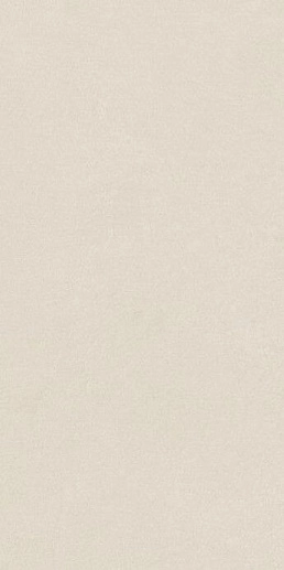 Argillae Neve 60x120 - фото 1