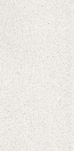 Terrazzone Ice Honed 60x120 - фото 1