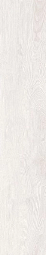 Forest White Slim Rec 22x120 - фото 1
