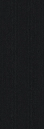 Rigato Graphite 3.5 100x300 - фото 1