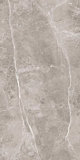 Obsidian Grey 60x120 - фото 1