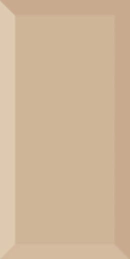Biselado Beige Brillo 10x20 - фото 1